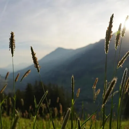 Lavida Peak Mountain Retreat Frutigen & Adelboden, Free Parking *