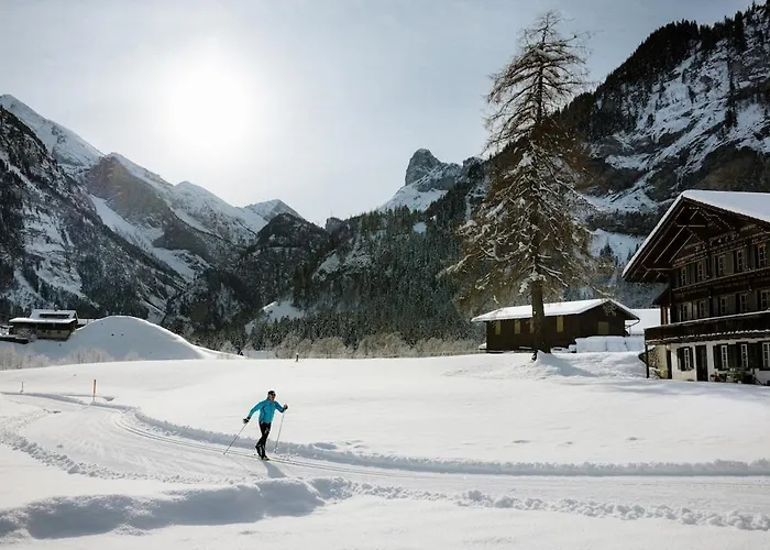 Lavida Peak Mountain Retreat Frutigen & Adelboden, Free Parking דירה Wengi bei Frutigen
