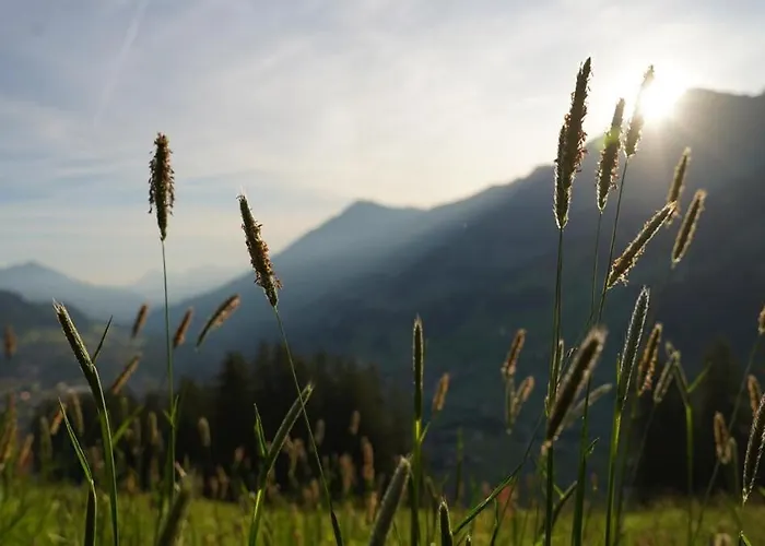 Lavida Peak Mountain Retreat Frutigen & Adelboden, Free Parking *